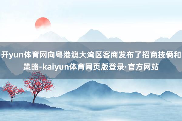 开yun体育网向粤港澳大湾区客商发布了招商技俩和策略-kaiyun体育网页版登录·官方网站
